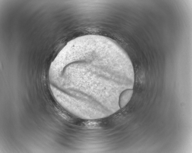 X0000065260518200603172234