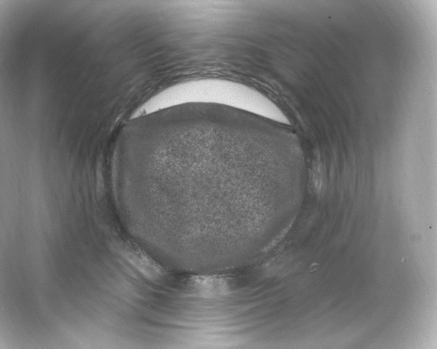 X0000065260520200603172234