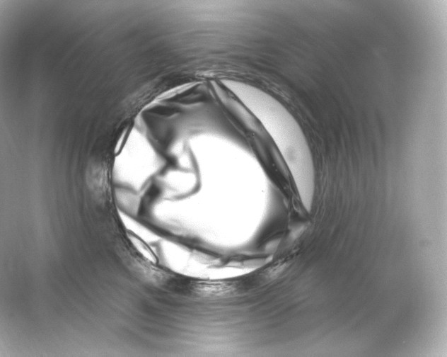 X0000065260521200603172234