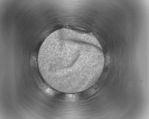 X0000065260522200603172234