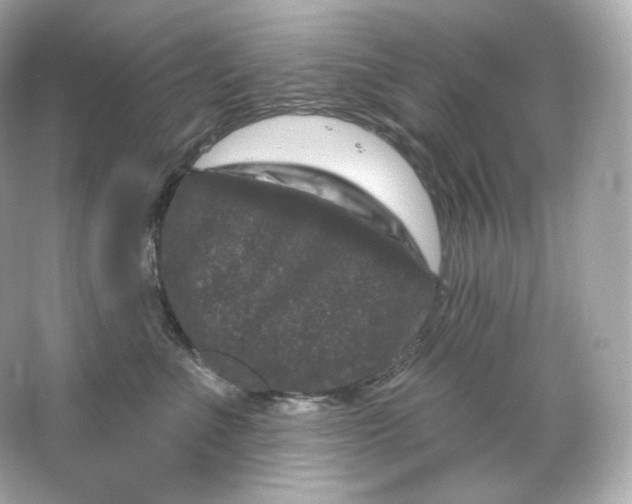 X0000065260523200603172234