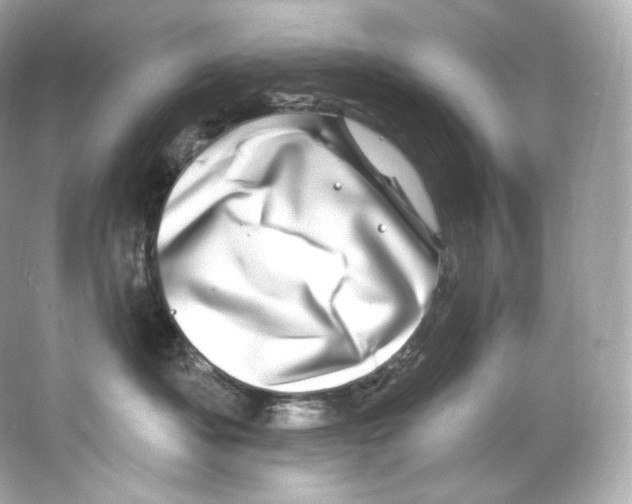 X0000065260525200603172234