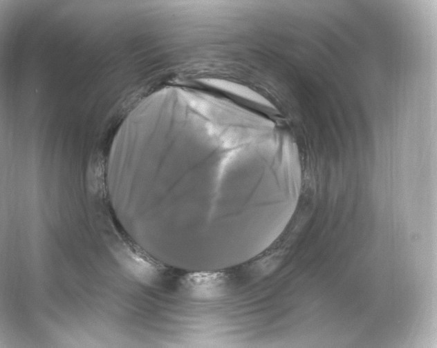 X0000065260526200603172234