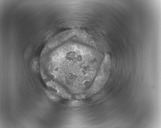 X0000065260527200603172234