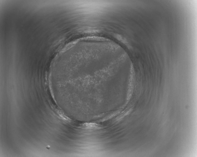 X0000065260528200603172234