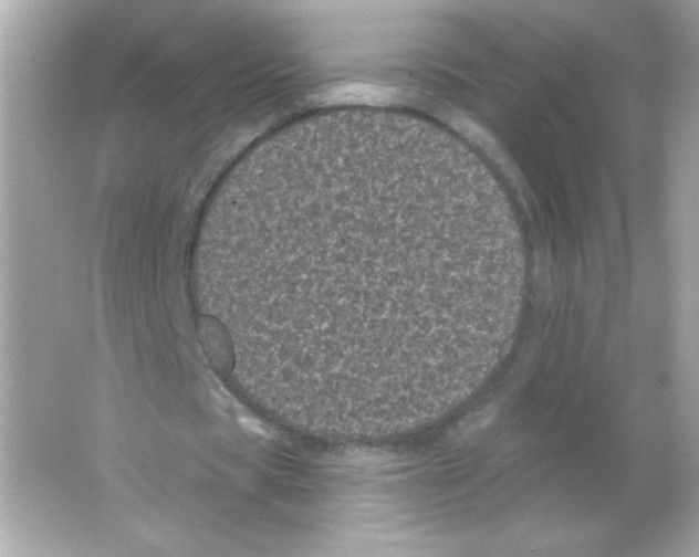 X0000065260529200603172233