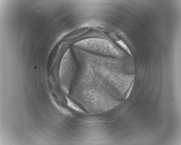 X0000065260530200603172233