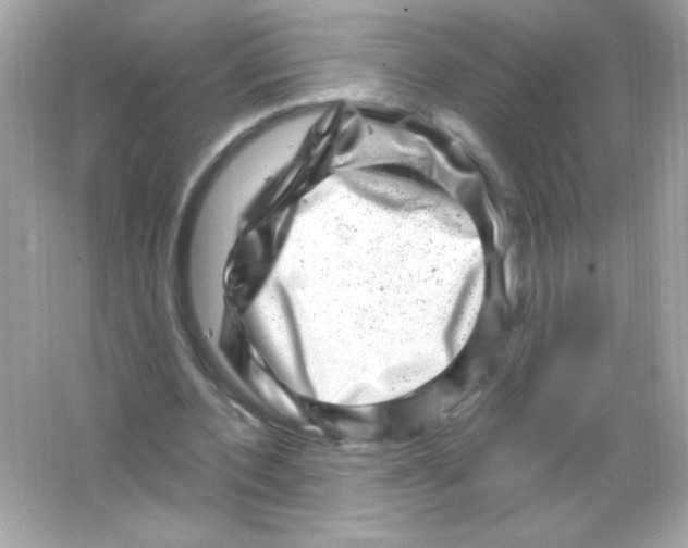 X0000065260532200603172233