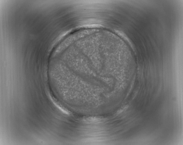 X0000065260533200603172233