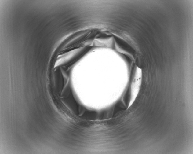 X0000065260536200603172233