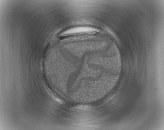 X0000065260537200603172233