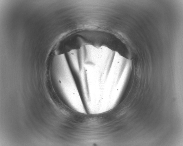 X0000065260540200603172233