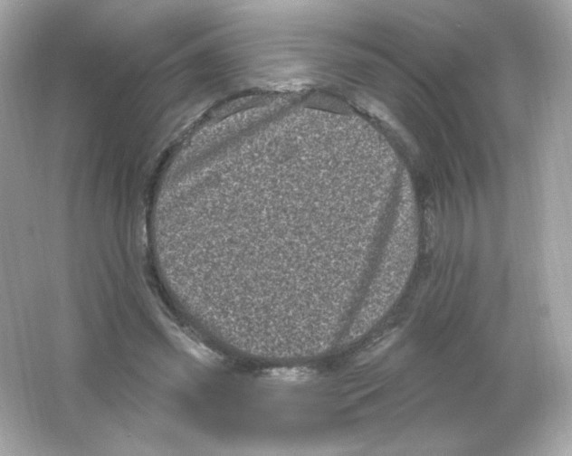 X0000065260541200603172233