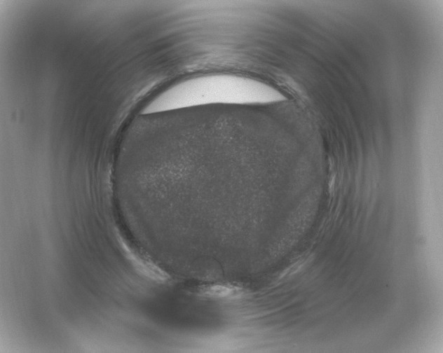 X0000065260542200603172233