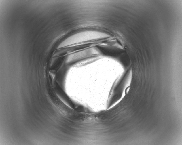 X0000065260543200603172233