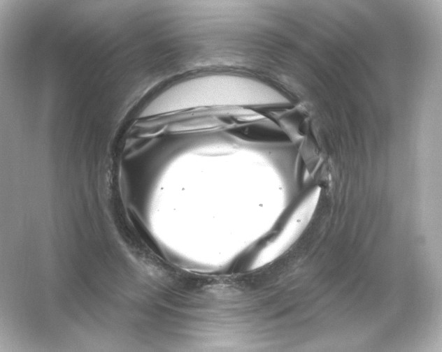 X0000065260544200603172233