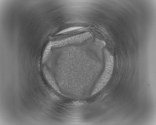 X0000065260545200603172233