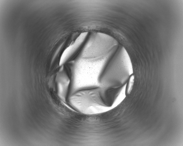 X0000065260546200603172233