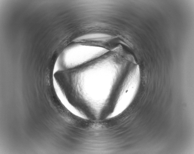 X0000065260547200603172233