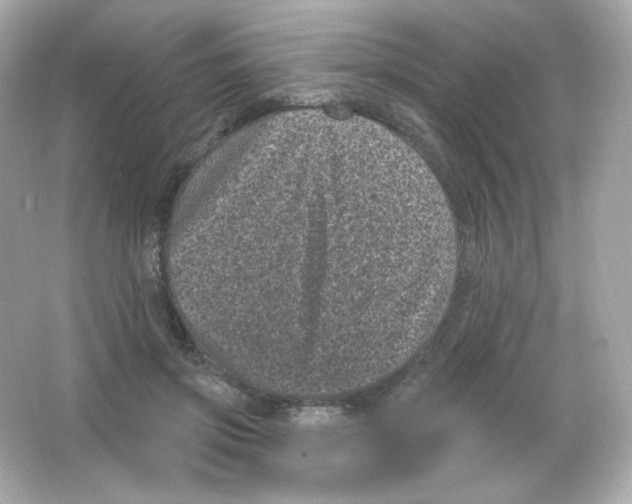 X0000065260549200603172233