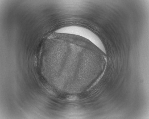 X0000065260551200603172233