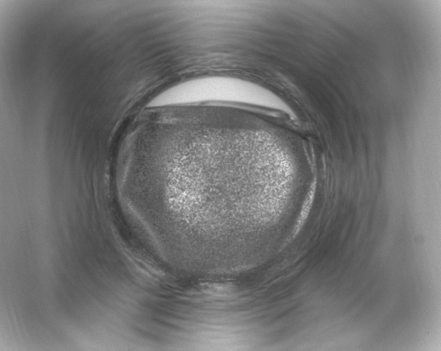 X0000065260552200603172233