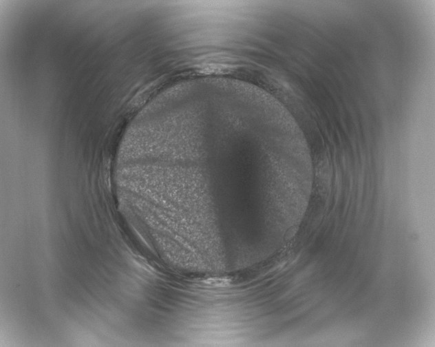 X0000065260554200603172233