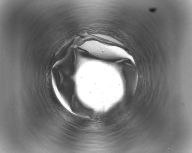 X0000065260555200603172233