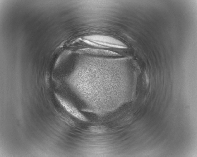 X0000065260556200603172233