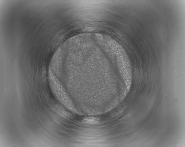 X0000065260557200603172233