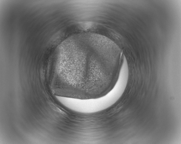 X0000065260558200603172233