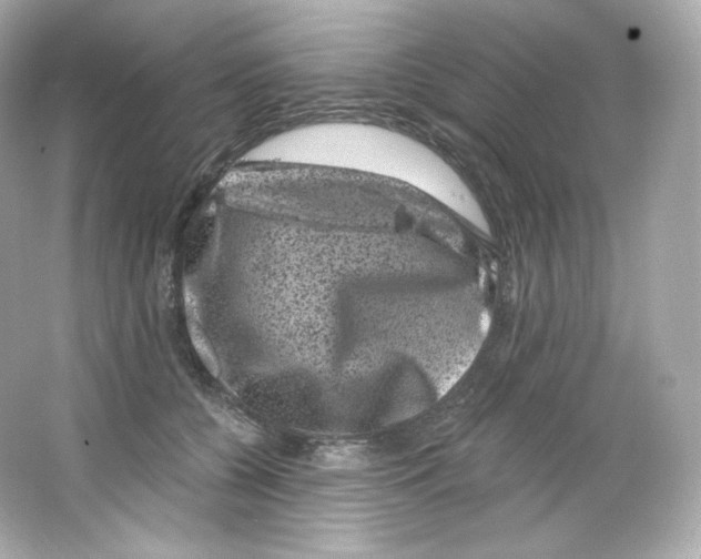 X0000065260560200603172233