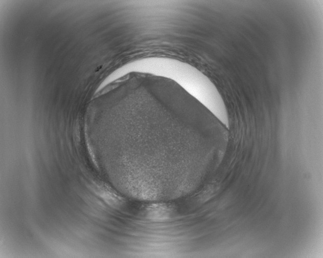 X0000065260562200603172233