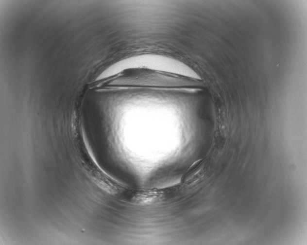 X0000065260563200603172233