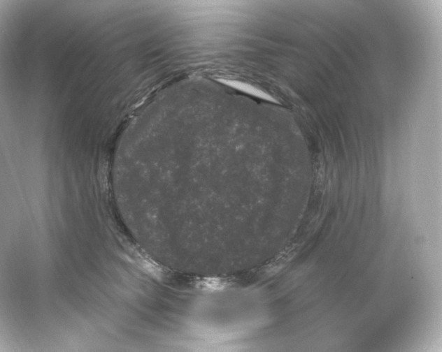 X0000065260565200603172233