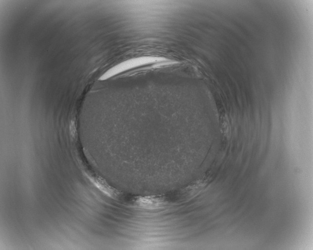 X0000065260568200603172233