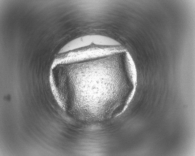 X0000065260569200603172233