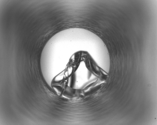 X0000065260570200603172233