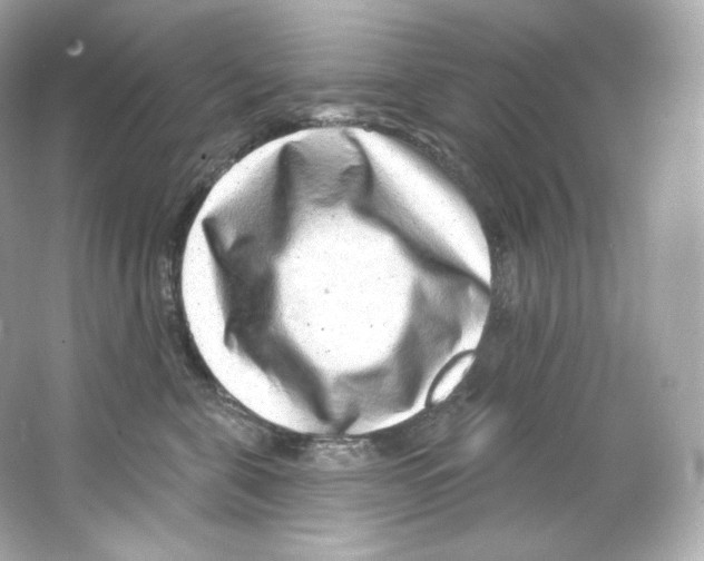 X0000065260571200603172233