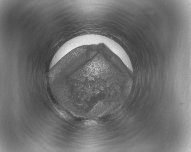 X0000065260572200603172233