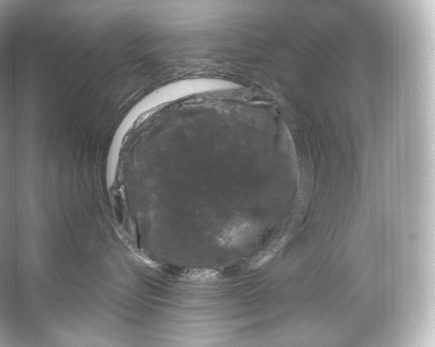 X0000065260576200603172233