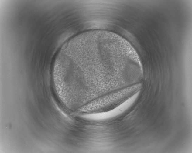 X0000065260578200603172233