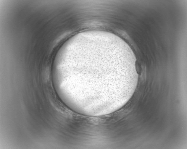 X0000065260579200603172233