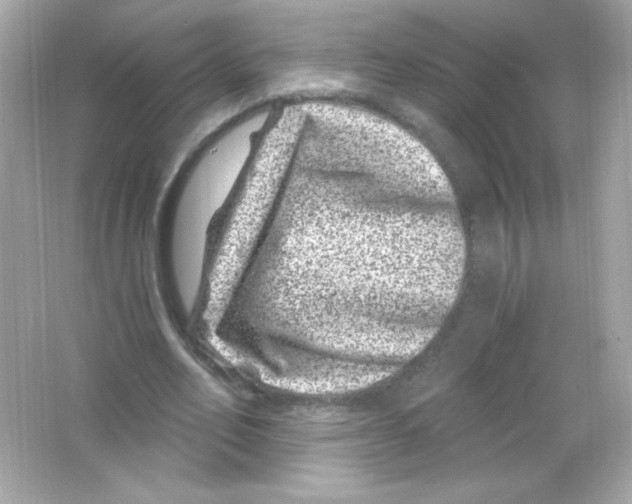 X0000065260582200603172233