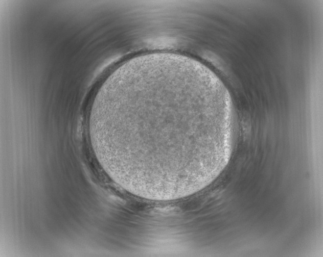 X0000065260583200603172233