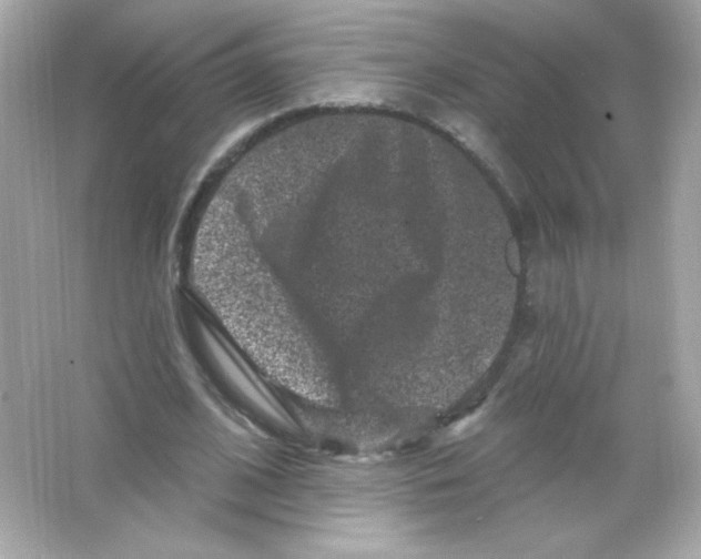 X0000065260584200603172233