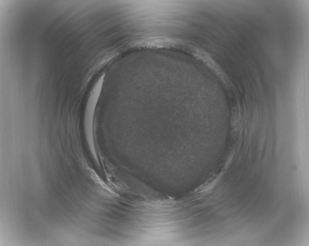 X0000065260585200603172232