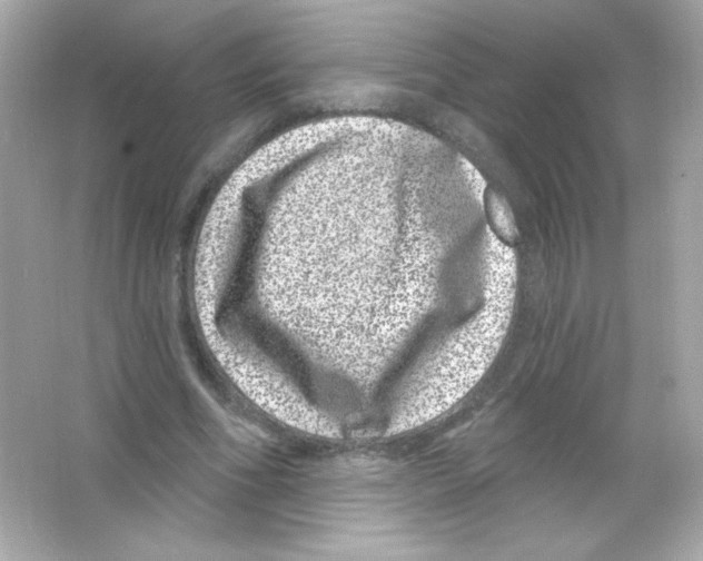 X0000065260586200603172232