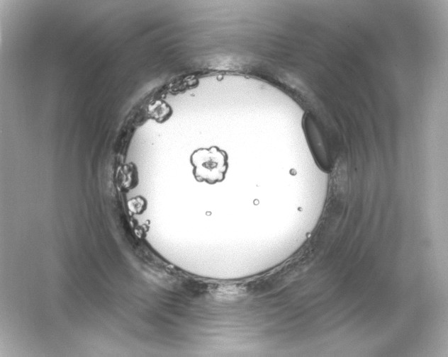 X0000065260587200603172232