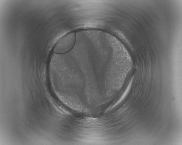 X0000065260588200603172232